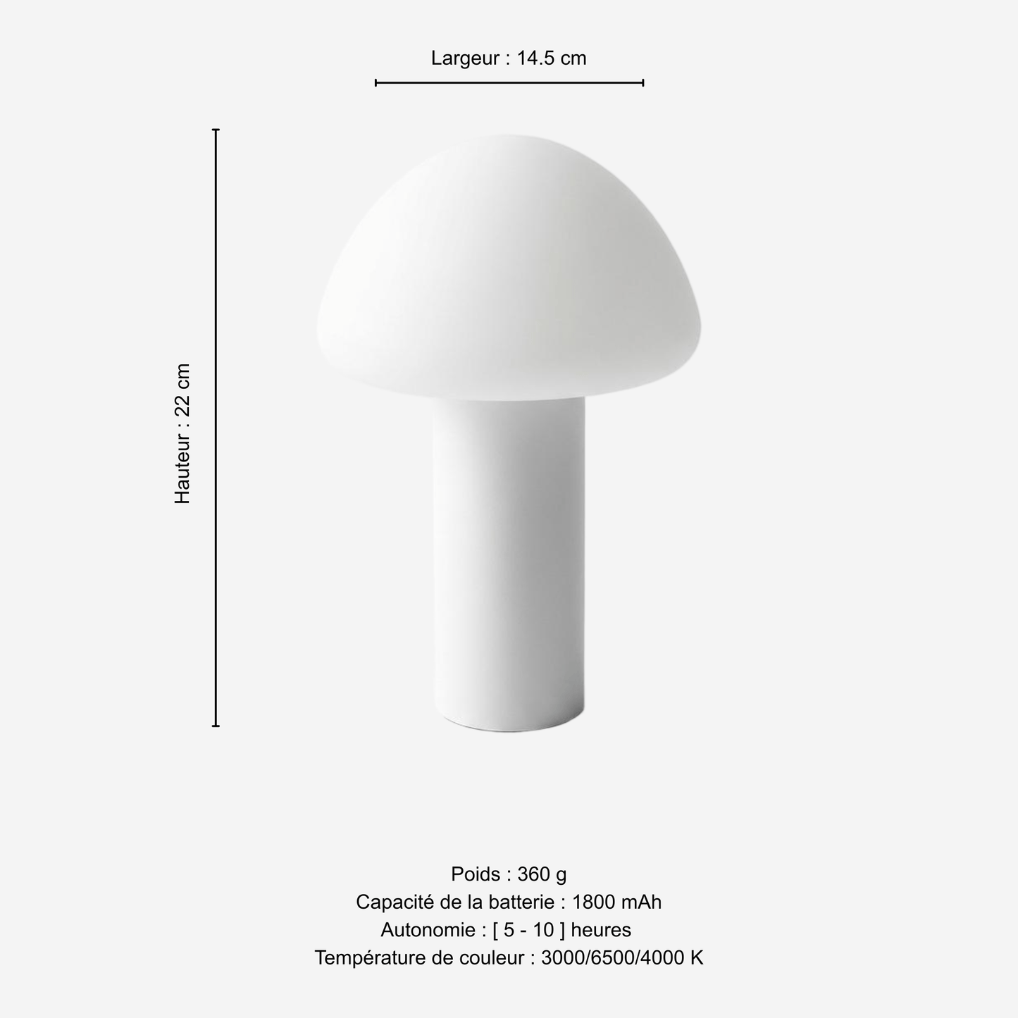 Forêt au printemps – Rechargeable LED Mushroom Table Lamp | Mushroom Design, Soft Light & Touch Control